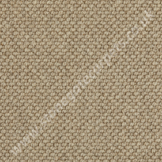 Westex Carpets Butterwick Wool Loop Chai