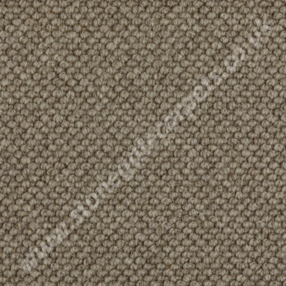 Westex Carpets Butterwick Wool Loop Koala